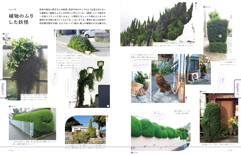 botaworks's tweet photo. 【お知らせ】10月頭に初の著書『たのしい路上園芸観察』がグラフィック社から発売されます。様々な切り口から路上園芸を楽しむポイントをまとめました。路上園芸観察や日本人と園芸の歴史、台湾の路上園芸等のコラムも収録。手にとっていただけると嬉しいです！
ご予約こちら→https://t.co/8p9bFLJ2Yk https://t.co/0upznSpAN8