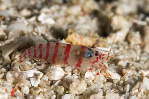 9月15日生まれ Twitter Search Twitter