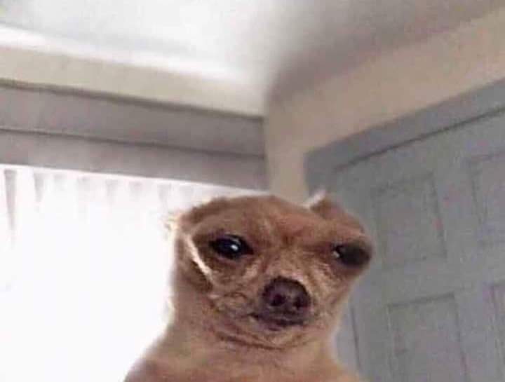 sugaaaahr's tweet photo. ohno, pensé que ya había pasado la temporada de que subían fotos de su due. Ohno el cringe https://t.co/74cewmAGSF