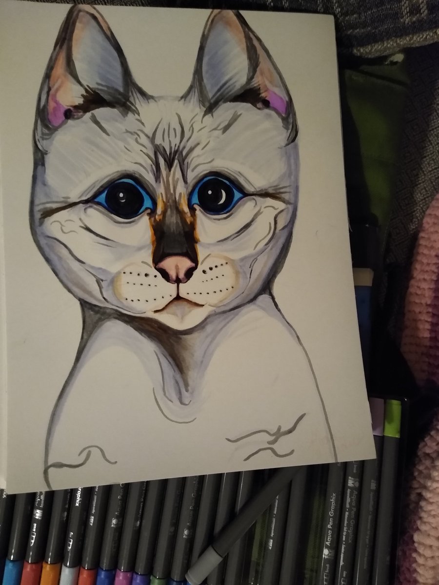 aledapikk's tweet image. Doodling with Graphix water color markers