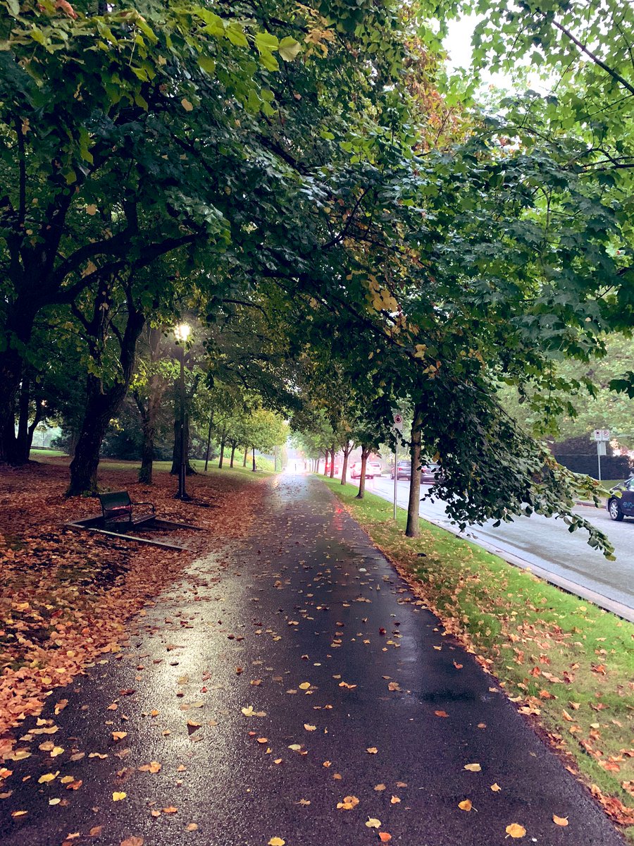 NehiyawSpirit's tweet photo. Day 14 - FNHA Be Active Challenge. Still going but doing more walking instead of running as it is too smokey. Another 10 000 steps in the rain this evening.
#FNHABeActiveChallenge
@fnha https://t.co/YjMi08RcBK