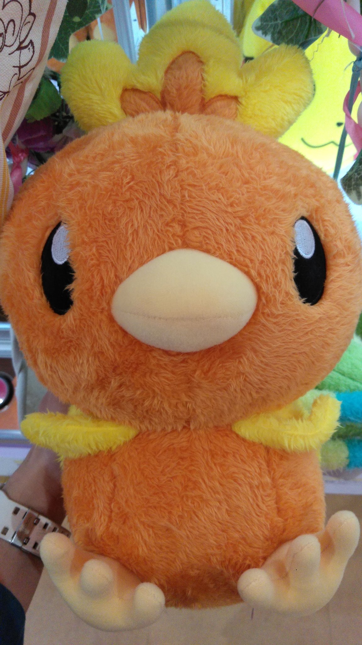 アドアーズ渋谷店 新景品情報 ポケモンからアチャモのおおきなぬいぐるみが登場 もこもこのかわいいぬいぐるみです ポケモン アチャモ Ad渋谷 アドアーズ T Co Lepfzkaqrk Twitter アドアーズ渋谷店 新景品情報 ポケモンからアチャモのおおきなぬいぐるみが登場 もこもこのかわいいぬいぐるみです ポケモン アチャモ Ad渋谷 アドアーズ T Co Lepfzkaqrk Twitter