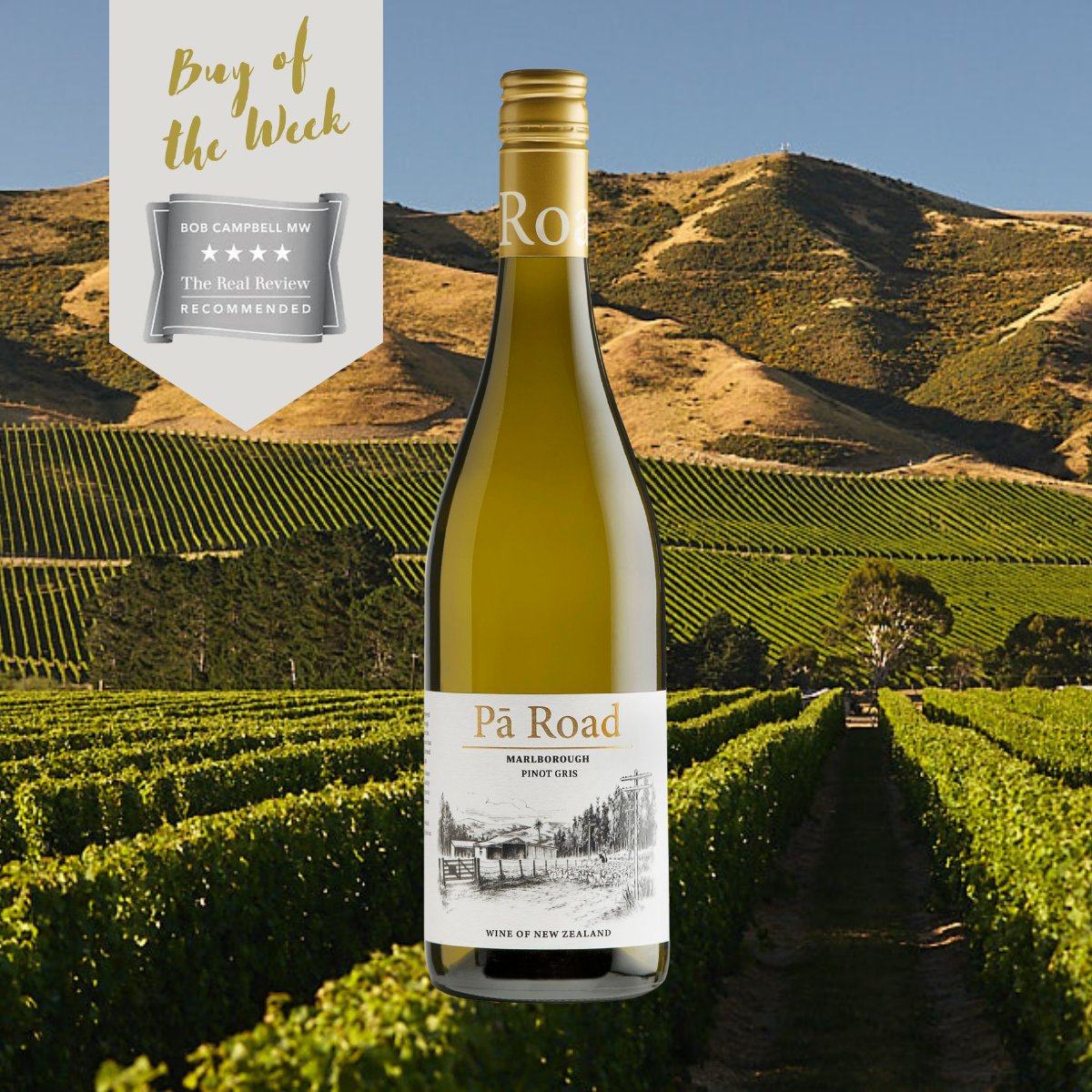 te Pā Wines tweet media