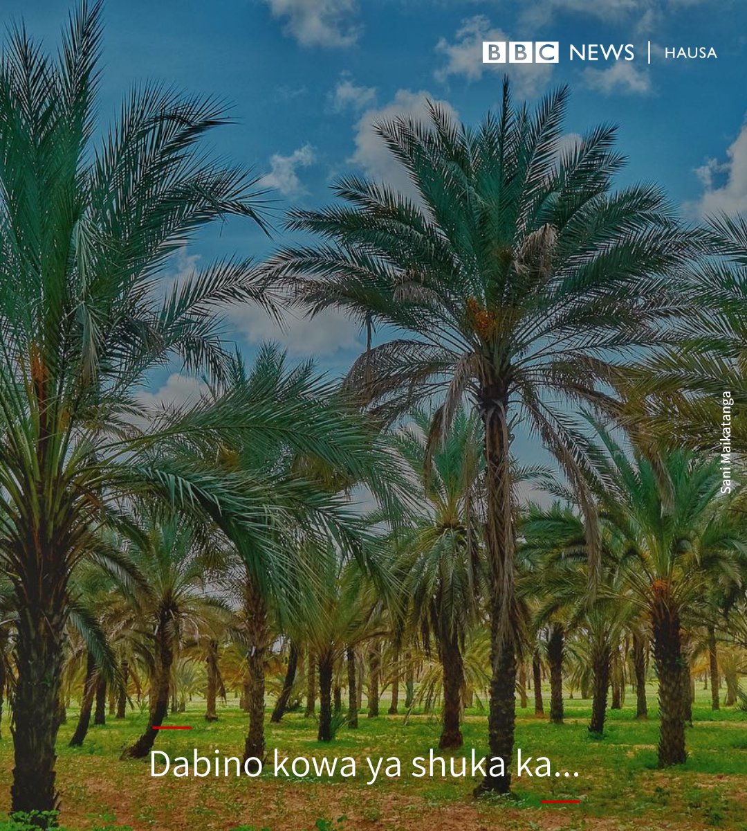 bbchausa tweet picture