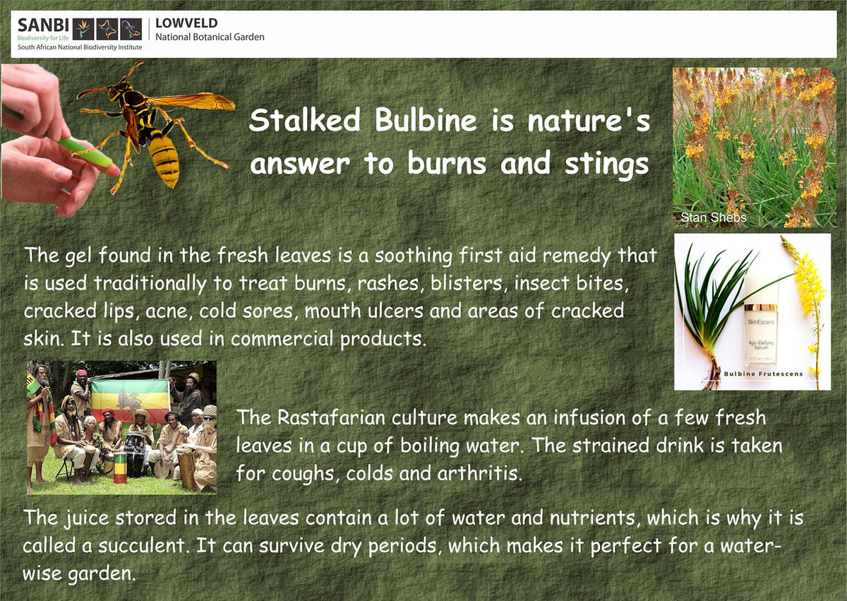 SA Biodiversity tweet media