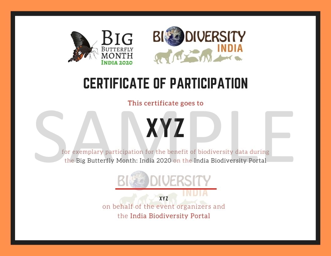 inbiodiversity's tweet photo. Announcing prizes to be won for top contributors during the Big Butterfly Month India 2020. Every contributor with more than 50 submissions win certificates of Participation. More than 100 records win a custom designed biodiversity coaster set. https://t.co/1QWjzp46Ra https://t.co/FnKkghdoey