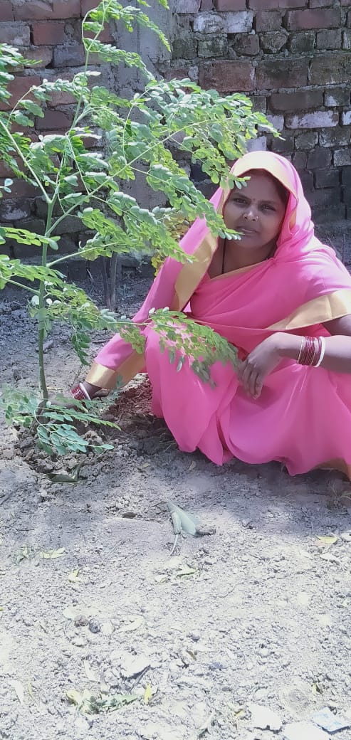 UpPoshan's tweet photo. जनपद के बाल विकास परियोजना फाजिलनगर में आंगनवाड़ी कार्यकत्री द्वारा गृह भ्रमण कर बच्चों का वजन,समुदाय के।पोषण विषय पर चर्चा,सहजन के पौधें का रोपण। @DistrictMagist1 @POSHAN_Official @icds_up @UPGovt @MinistryWCD @kushinagarnews 
#POSHANAbhiyaan #PoshanMonth #उत्तमपोषण https://t.co/5klc6B3efA