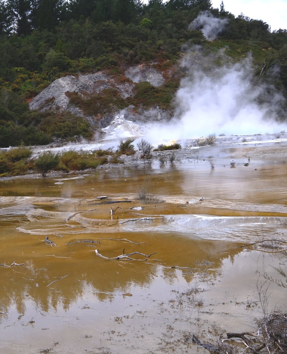 PukkaTravellers's tweet photo. Travel has helped us to understand the meaning of life and it has helped us become better people. Each time we travel, we see the world with new eyes.
#waiotapu #fiordland #escapesnaps #newzealandwithme #ilovenewzealand #kiwiexperience #discovernewplaces https://t.co/ZpBQG4HgzR