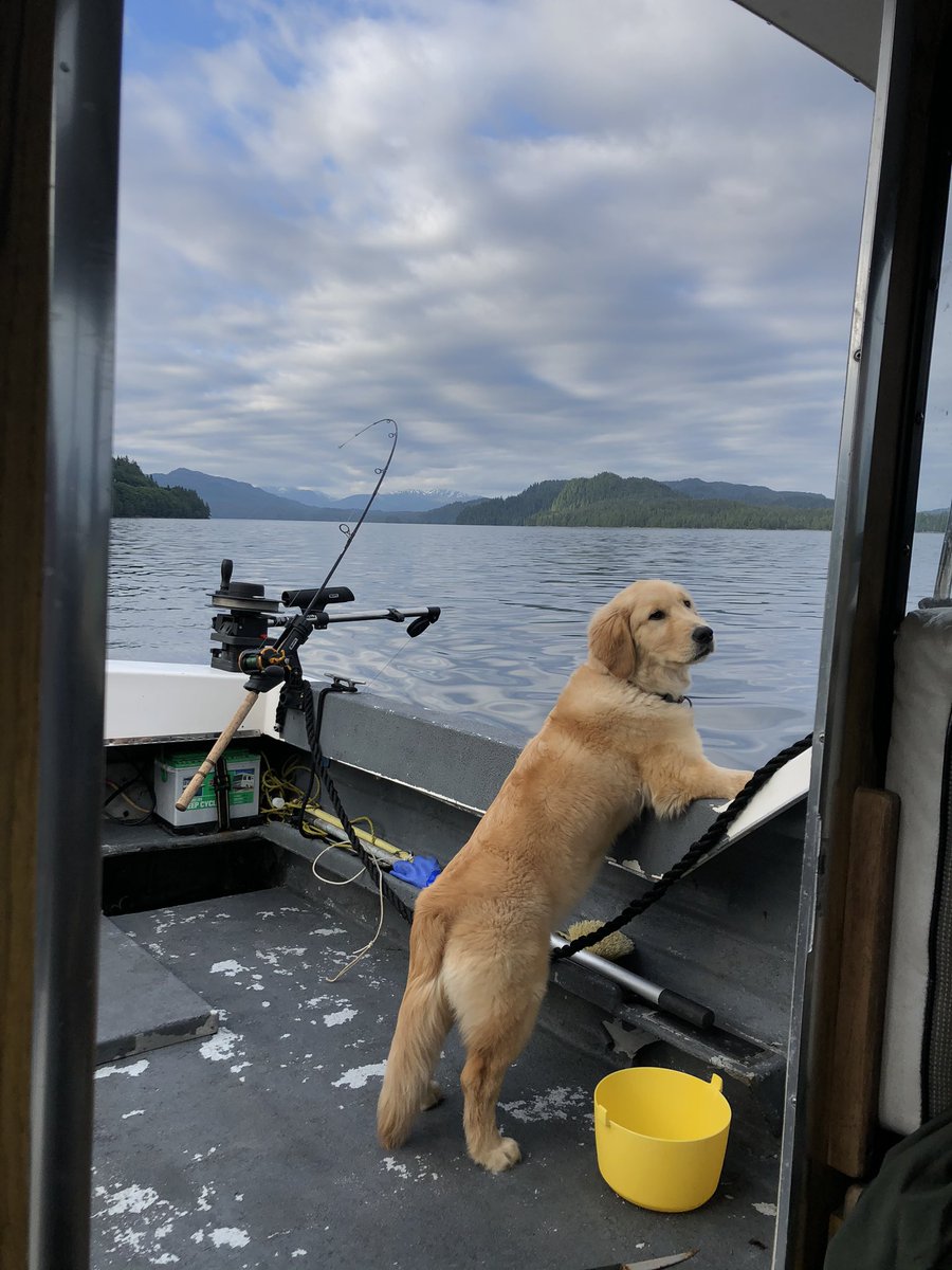 EmmaEms907's tweet photo. The goodest girl. Praying for the best outcome 🤍❤️ https://t.co/R2UHH8lAER