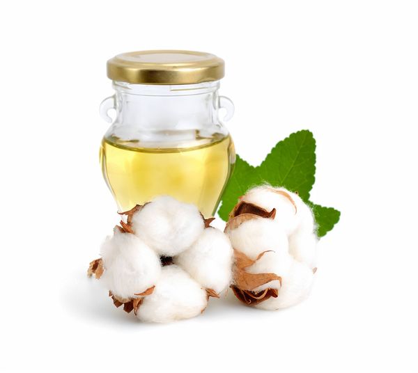 afrilandcorp's tweet photo. #PureSesameOil - #GingellyOilWholesaler

AFRILANDCORP- manufacturer, exporter, and supplier of #sesameoil, #crudesesameoil, #refinedsesameoil, #sesameseed.Visit @
https://t.co/qd8ginTvl6
Call Us: +237-650201992
Email: info@afrilandcorp.com
#sesameoil #tiloil #organicsesameoil https://t.co/o3iIbAiobt