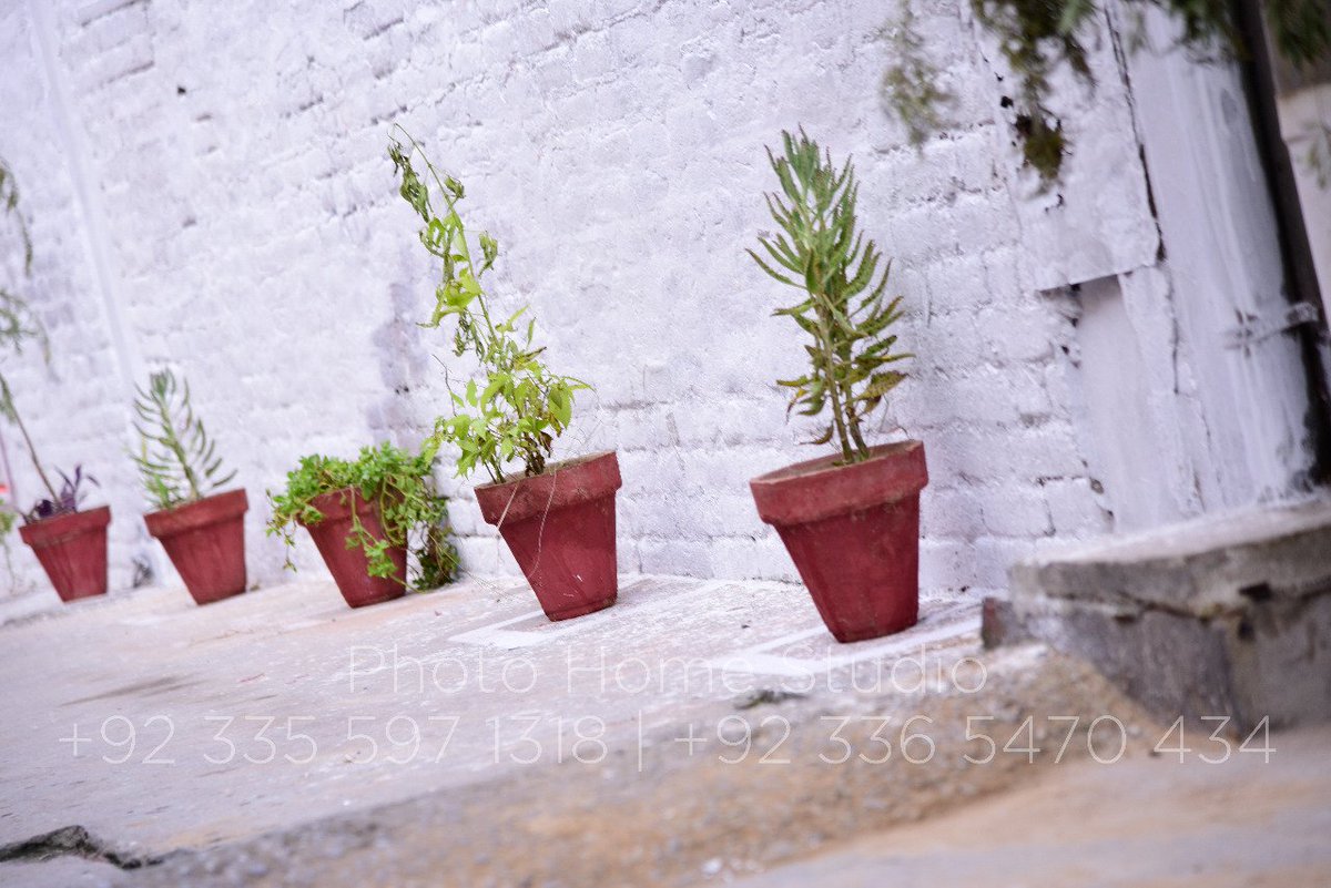 RwpVForce's tweet photo. (3) More Pictures from Rawalpindi V-Force #GreenStreet 🪴🏙️ Project!

#TuesdayThoughts #VForceUpdates https://t.co/WTwmHy6p8w