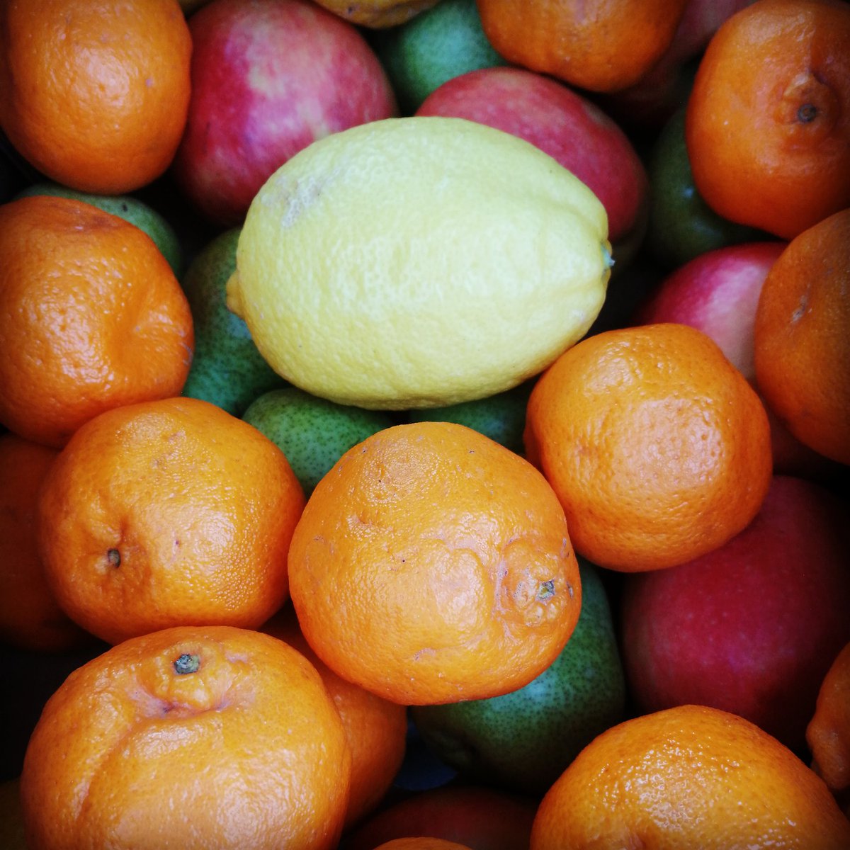 DirectProdCart's tweet photo. Our Fruit Boxxes are great value fruit bowl fillers nd a great way to keep the family hydrated, nourished nd fuelled!⁠

TOP TIP: Slice up your lemons &amp; limes and pop in ice cold water with a handful of mint to keep hydrated... especially in this heat! 💦⁠

#supportsmallbusiness https://t.co/QCnY4pFTXW