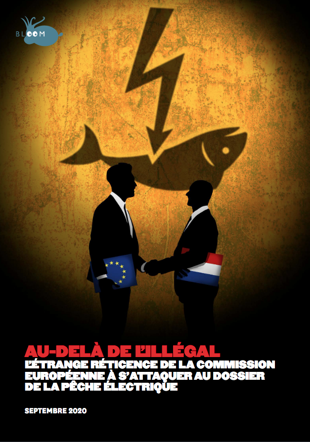 Bloom_FR's tweet photo. 📢Rapport explosif #PecheElectrique. Plus de navires que l'on ne pensait, certains ds zones interdites... le scandale continue! @EU_MARE: le moment est venu d'ENFIN poursuivre les Pays-Bas &amp; mettre de côté cette honteuse connivence avec lobbies corrompus➡️https://t.co/pLwpBzTvJ0 https://t.co/2zwEremezc