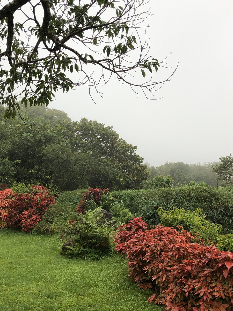 RumaSi's tweet photo. A lovely day in the misty mountains. #coffeeestates #birthdaygetaway #chikmagalur #primrosevillas https://t.co/KvWeVOAZHi
