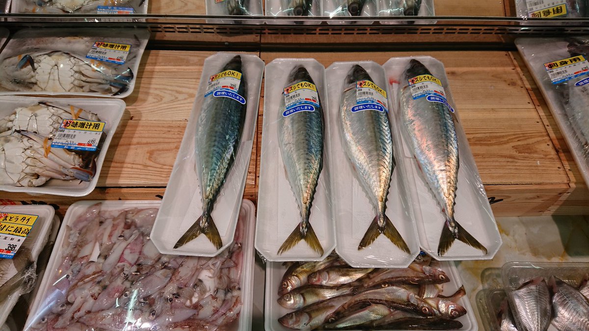 Etiqueta たこ一 En Twitter