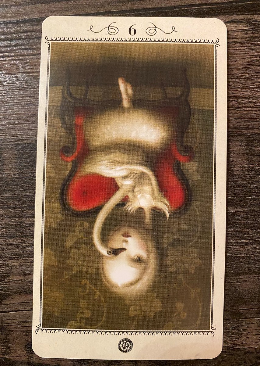 Carolyn54397783's tweet image. Sensing an interest from that guy/girl? What does Nine of Pentacles tell you about him or her's feelings for you and your future possibilities?

Shop my readings on Etsy: etsy.com/shop/CharlynnT…

#tarot #TarotReading #tarotlesson #tarotcards #tarotreader #psychic #tarotcommunity