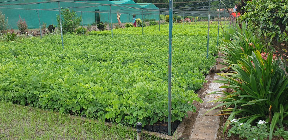 Anilpatel tweet media