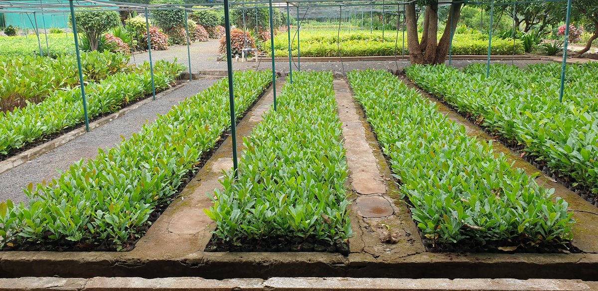 Anilpatel tweet media