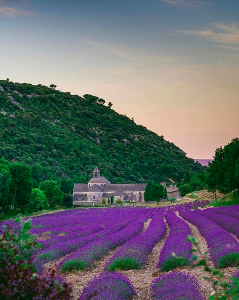 inspired_luxury's tweet photo. Notre Dame de Sénanque Abbey and its lavender fields 💜✨. Repost 📸@callicles https://t.co/8trmXmh2rA