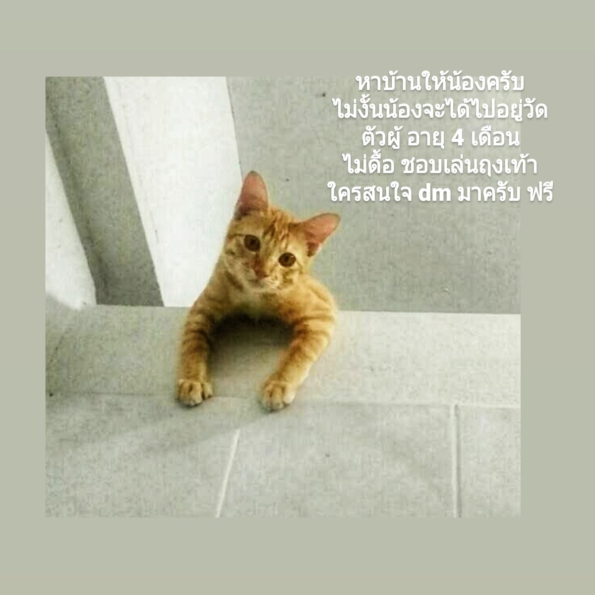 EcNegative's tweet photo. ขอคนสนใจจริงๆนะครับ https://t.co/5m3aZRiiDC
