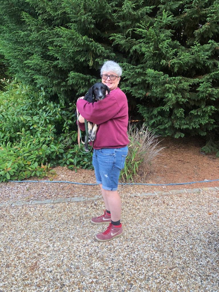 Gorgeous Dobby went off to his forever home today #gotchaday #dogrescue