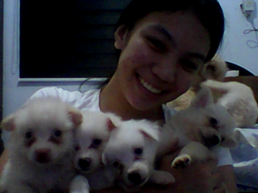 alllainee's tweet photo. for sale :>> di ko na kaya buhatin yung dalawa pa jakshajkdhahda sa webcam lang ako pic kasi #RIPphone jashdjsadhdasdjas https://t.co/Xvr03CBw7a