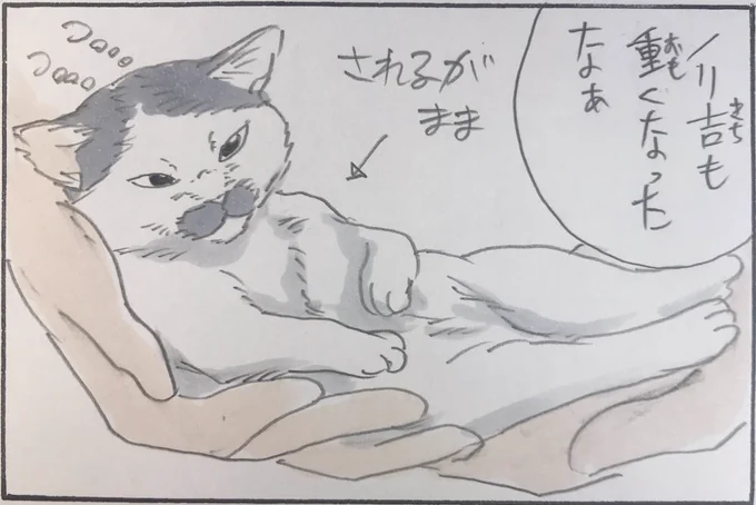 『シュッてならない』 