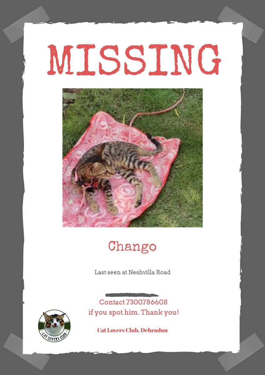 meowniacs's tweet photo. If you are in Dehradun, please retweet this poster to reunite Chango with its family. 

#Dehradun #Uttarakhand #catlovers #lostpet #chango #CatsOfTwitter #AnimalRights #animallovers #fiapo #peta #PFA #MissingTheOtherSide #Caturday #kittens #kittyumbs #SatyagrahForSSR https://t.co/anBW2gTsNJ