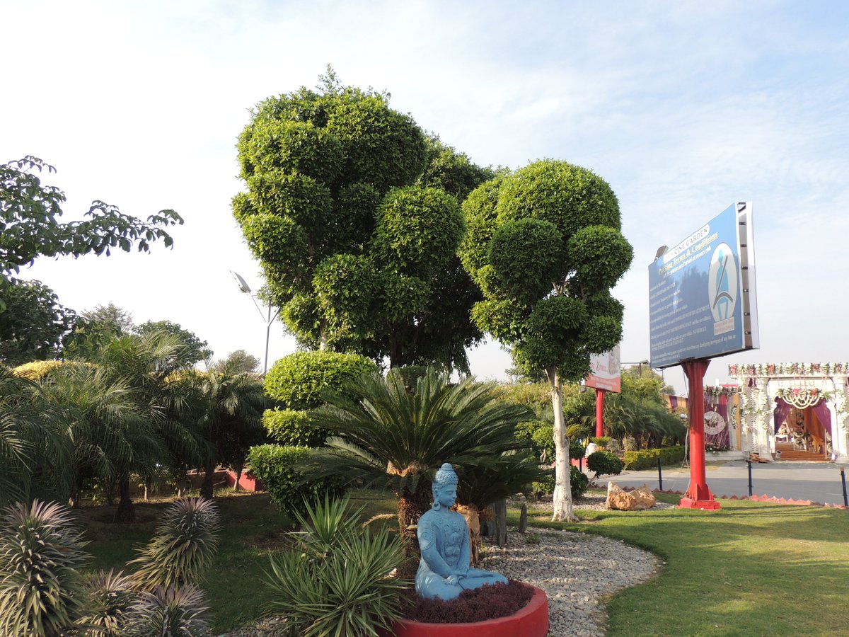 O2Nursery's tweet photo. Landscaping done at OHM,Sirsa by our in-house landscape artists!
π Visit us: Chd-Ambala Road, Under Zirakpur Flyover,
π call us at 87601-00027
#O2Nursery #IndoorPlants #Gardening #Botanical #PlantsCare #naturelovers #terracegarden #TheHeritage #Zirakpur https://t.co/x12OB65liM