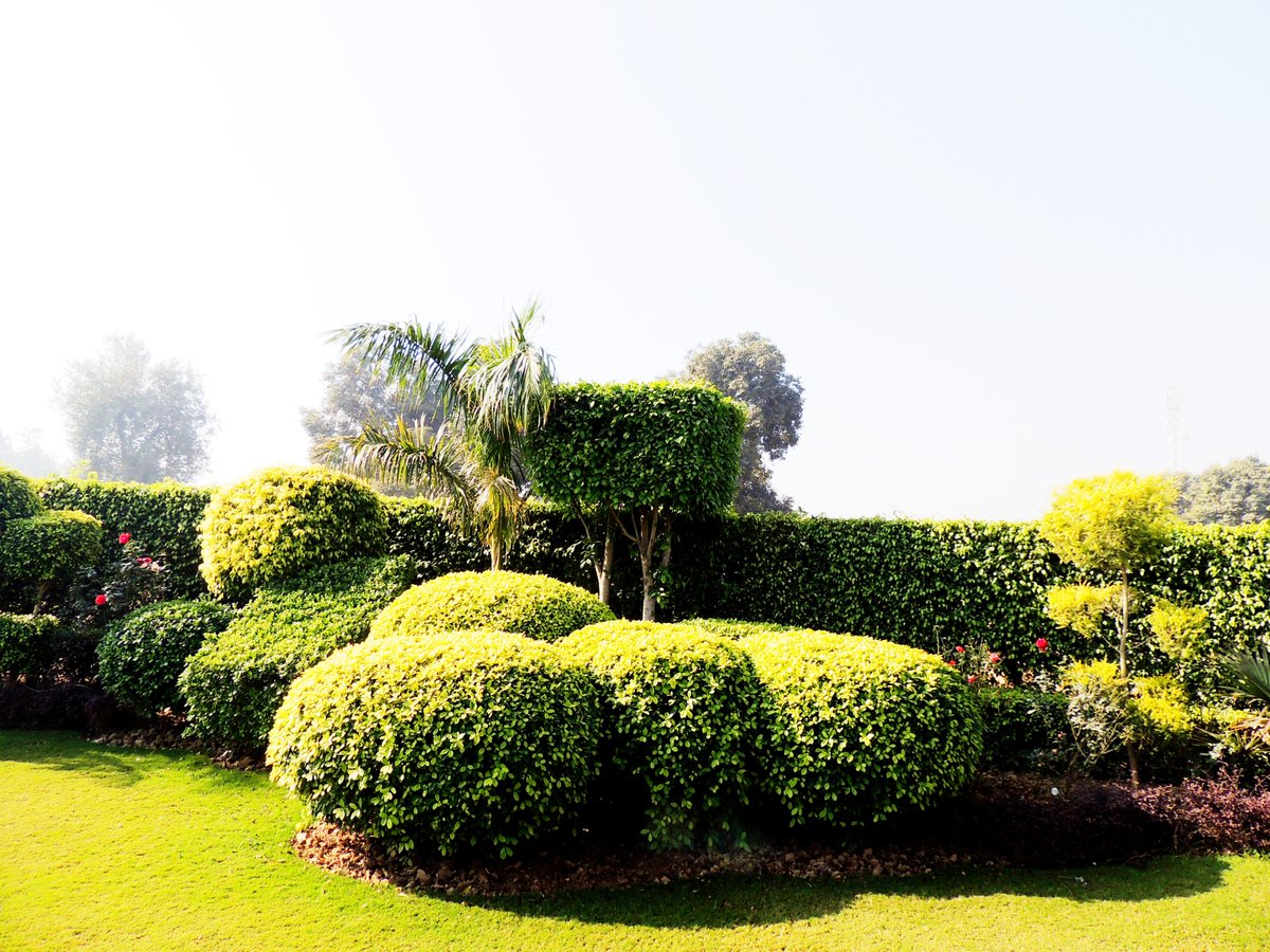 O2Nursery's tweet photo. Landscaping done at OHM,Sirsa by our in-house landscape artists!
π Visit us: Chd-Ambala Road, Under Zirakpur Flyover,
π call us at 87601-00027
#O2Nursery #IndoorPlants #Gardening #Botanical #PlantsCare #naturelovers #terracegarden #TheHeritage #Zirakpur https://t.co/x12OB65liM