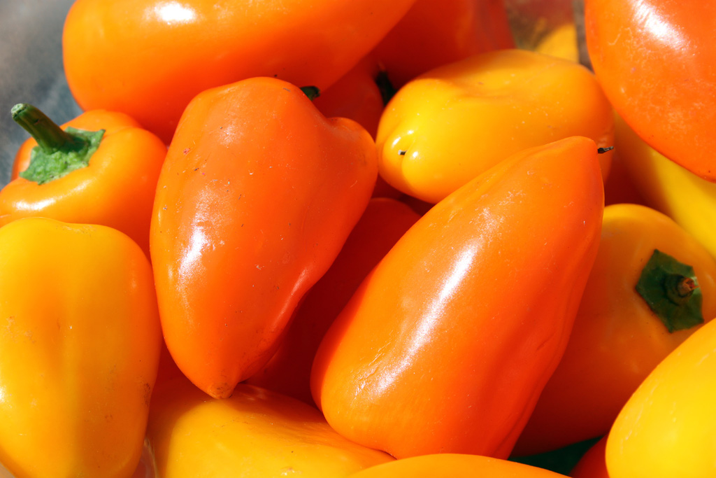 taraturk1's tweet photo. Shocking fact: "A third of food we produce in South Africa goes to waste." - Marjaana Hyppönen Chargé d’Affaires, Embassy of Finland #EUCDW2020 #CDW2020 #TeamEurope #ClimateDiplo #TECDW2020 @climateweekSA https://t.co/oBlKCA1mT3