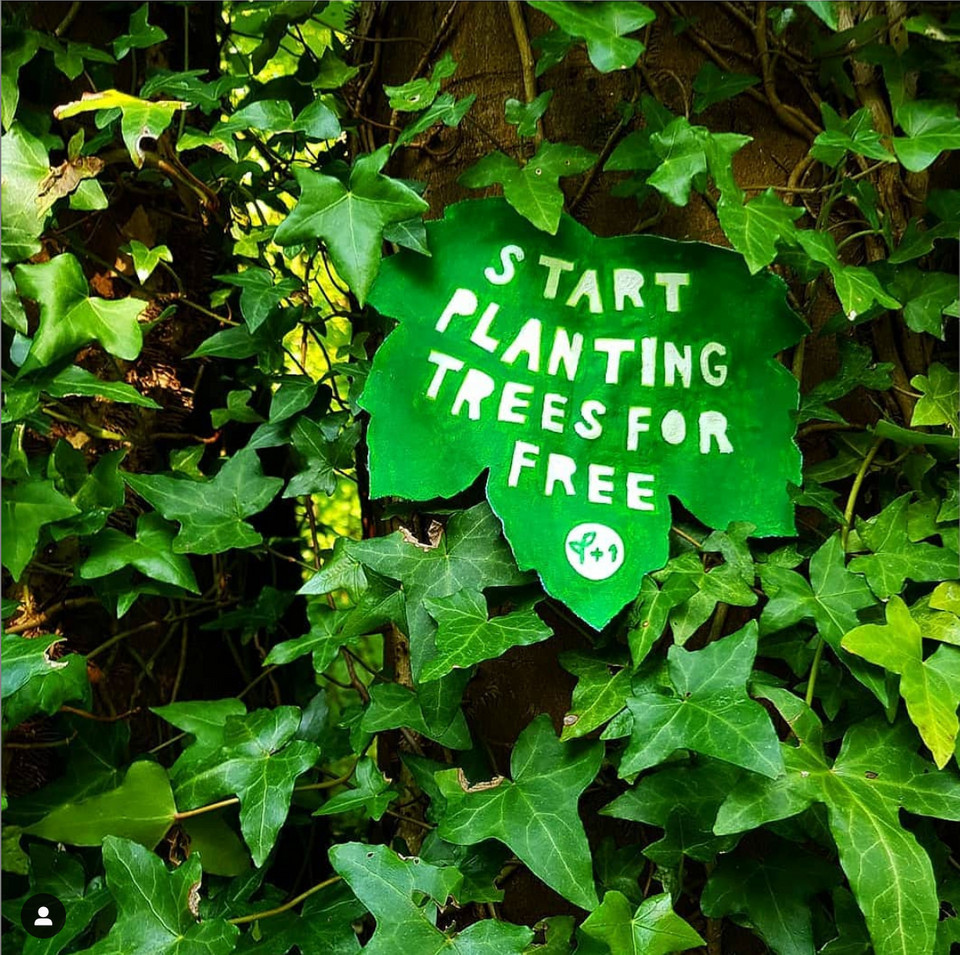 treeapp's tweet photo. Download now and start planting trees, for free with just a few taps 📱
⁠
🌍 Plant in over +10 countries⁠
🌿 Discover sustainable products and services⁠
👣 Track your impact! ⁠
⁠
Tag your friend who should download the app! ⁠
📸 : IG @ferncooke⁠ 

#treeapp #treeplanting https://t.co/Uq40f4B6fa