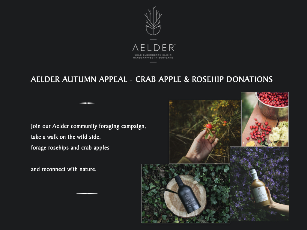 #edinburgh
Join our #AutumnAppeal!
We will swap @buckandbirch £ Gift Vouchers in exchange for donations of your #foraged #crabapples &amp; #rosehips.
Get the family involved and enjoy the outdoors.
For more info + fact sheet CLICK bit.ly/AelderAutumnAp… <a href="/edinburghpaper/">Edinburgh Evening News</a>