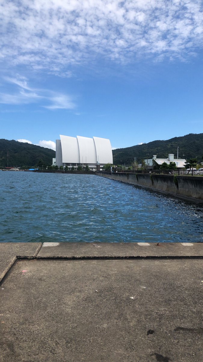 yapparina's tweet photo. 今日は、宮津の養老漁港から伊根そしてミップルとイカ釣りして来たよ♬♬釣果は、アオリイカ2杯・コウイカ2杯だけ💦でも、楽しかった♬♬ https://t.co/xkWx88SZ1y