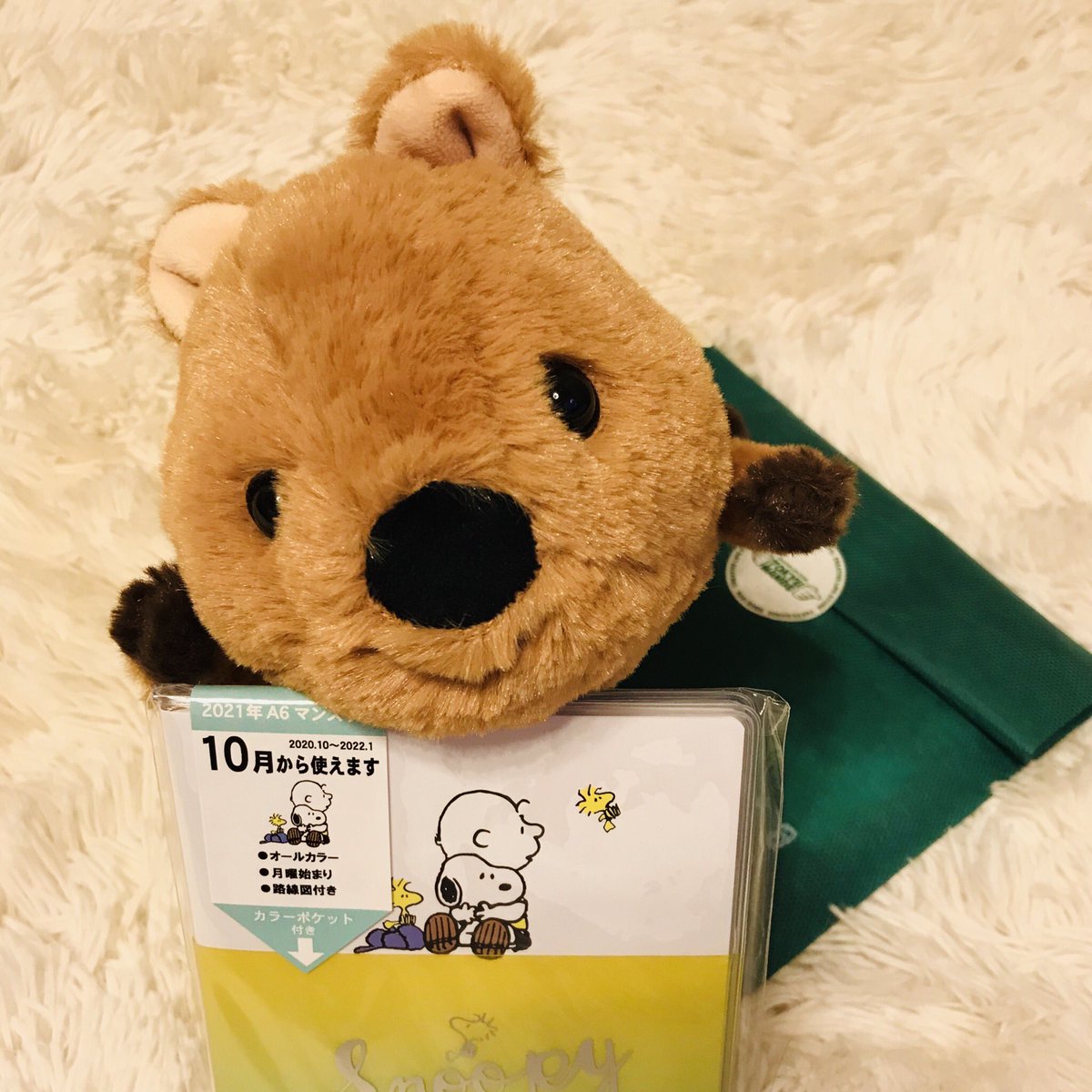 やちよ 手帳買いに行って一目惚れしたペンケース 愛用しすぎて汚れる前に クオッカワラビー