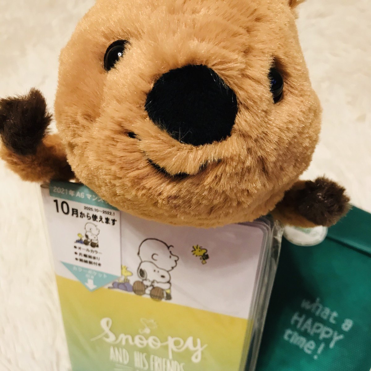 やちよ 手帳買いに行って一目惚れしたペンケース 愛用しすぎて汚れる前に クオッカワラビー