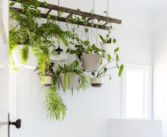 Asquiths_'s tweet photo. #TuesdayTip a quick and easy way to add harmony into your bathroom is by adding plants, a great way to bring some outdoors inside your home to promote a relaxing environment. 
#Wellbeing https://t.co/ofLbxQ56Yz