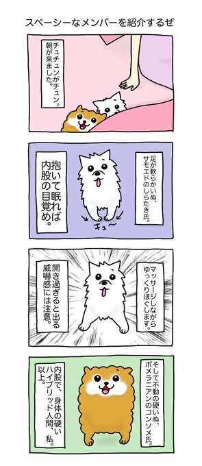 スペーシーなメンバーを紹介するぜ #コンしら 