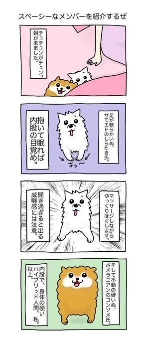 スペーシーなメンバーを紹介するぜ #コンしら 