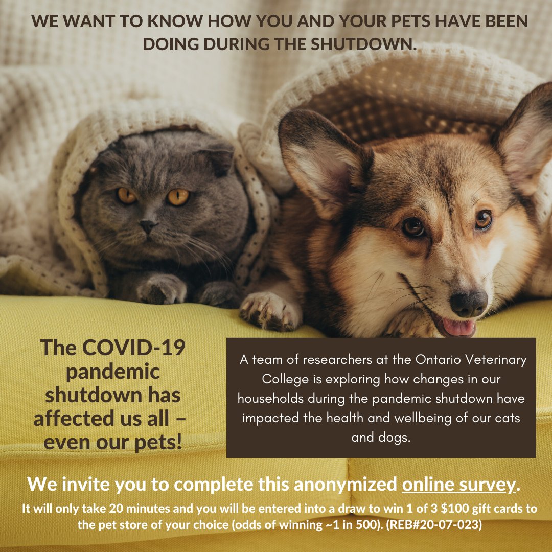 Pets and Ticks tweet media