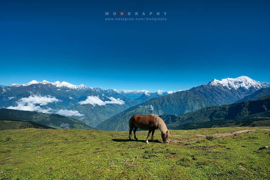 sulavyatra's tweet photo. Langtang National Park😍😍
📷:Mohan K. Duwal 📸
#sulavyatra #langtang #instatravel #landscape #mohgraphy #photography #visitnepal #clouds #NaturallyNepal #nature #highaltitude #dktm #jai_nepal #nepal8thwonder #wanderlust #lonelyplanet #unicorn #natgeotravel https://t.co/5LgGeNTWTm