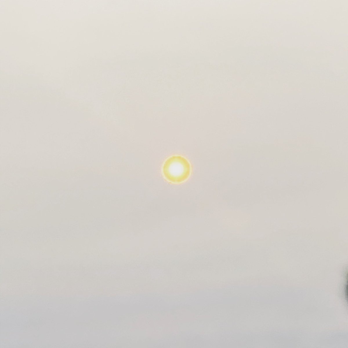 zrayburton's tweet photo. My #1000post on IG: here’s a picture of a sunrise energizing me, at the Beach Häus #sun #morning #beach #winthrop #boston #beachhaus #chill #coffeetime https://t.co/BhP8HpW3O3
