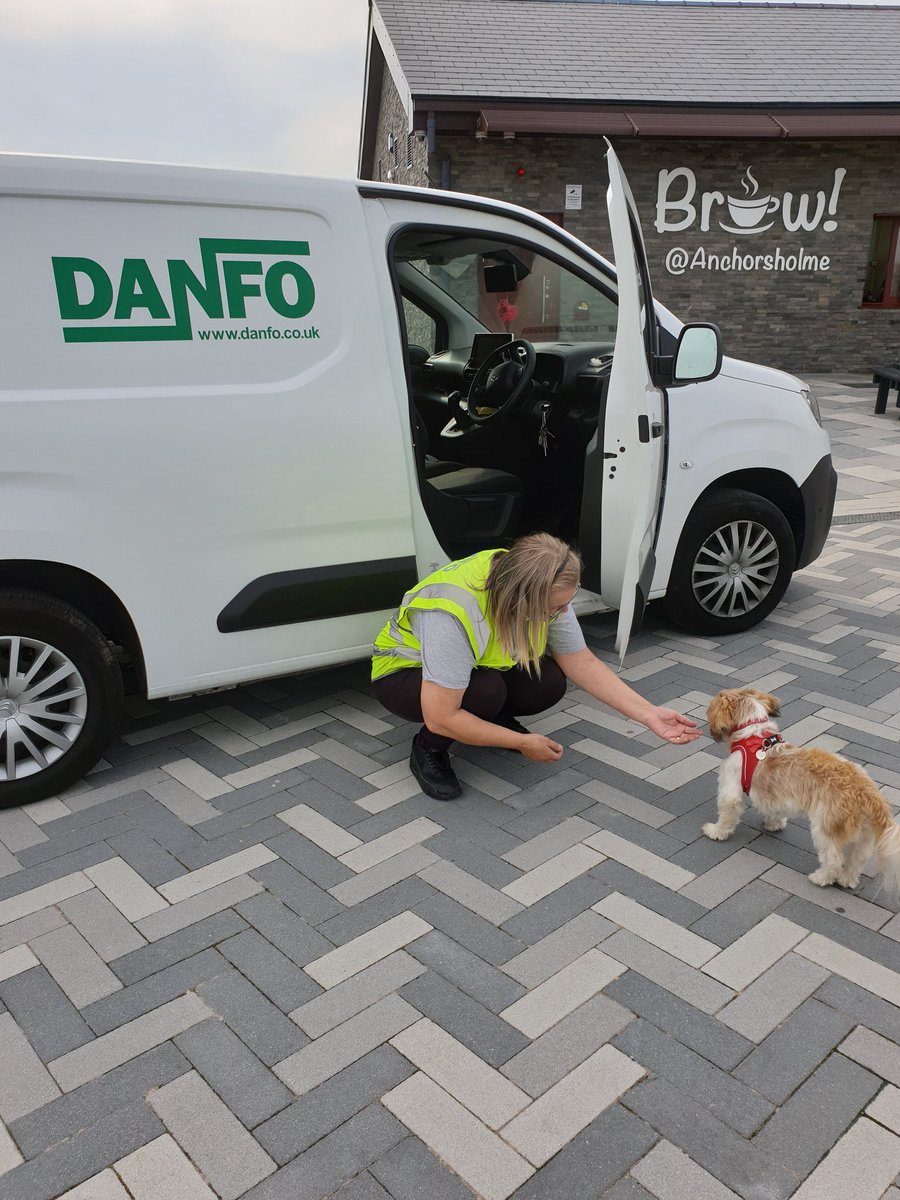 anchorshound's tweet photo. .@PaulGalley @BpoolCouncil check out this photo from @BellaShihTzuAce and #Danfo #BrewCafe 😍💓🐶 https://t.co/0twqtoTryv