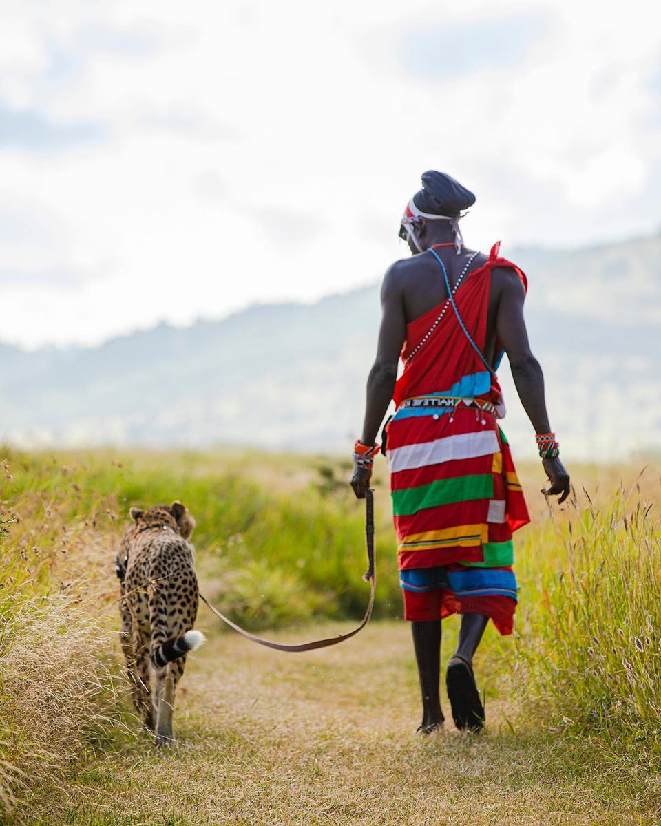 kenyapics's tweet photo. Out to the mall in Laikipia. Photo by Philippe Chantecaille https://t.co/MQcuptZqyY