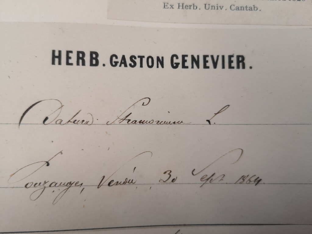 And another label in lovely handwriting! <a href="/dr_norb/">Norbert Holstein</a> <a href="/SiobhanLeachman/">Siobhan</a> arghhhhhhh😳