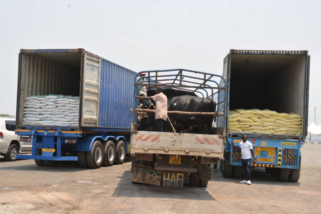 Bujaprov2025's tweet photo. #Burundi l'usine #FOMI a offert à S.E le président de la République un don fait de 30 tonnes de fertilisants, 30 tonnes de chaux et trois génisses. https://t.co/5Yxesvkh5R