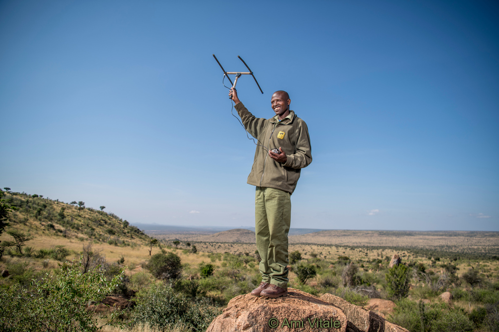LionLandscapes's tweet photo. Our #wildview 😍
Here's Thomas Mojong tracking lion movements in the beautiful Laikipia landscape. This helps pre-empt and avoid any potential conflict between lions and herdsman. Lion Rangers work across 8 conservancies covering 110,036 Hectares - swipe for the map! https://t.co/ujDifJSyFN