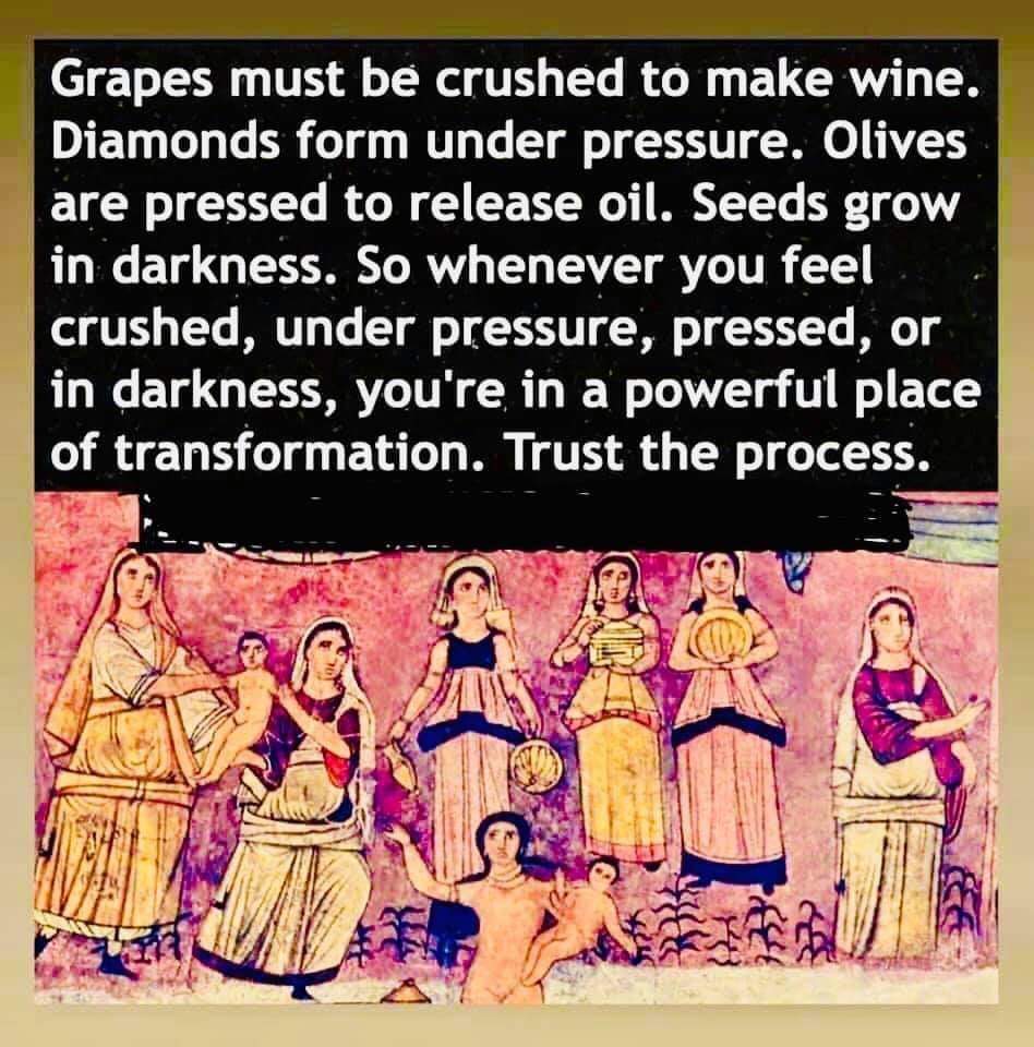 EmmaRLHall's tweet photo. #pressure https://t.co/NSdI4fwx25