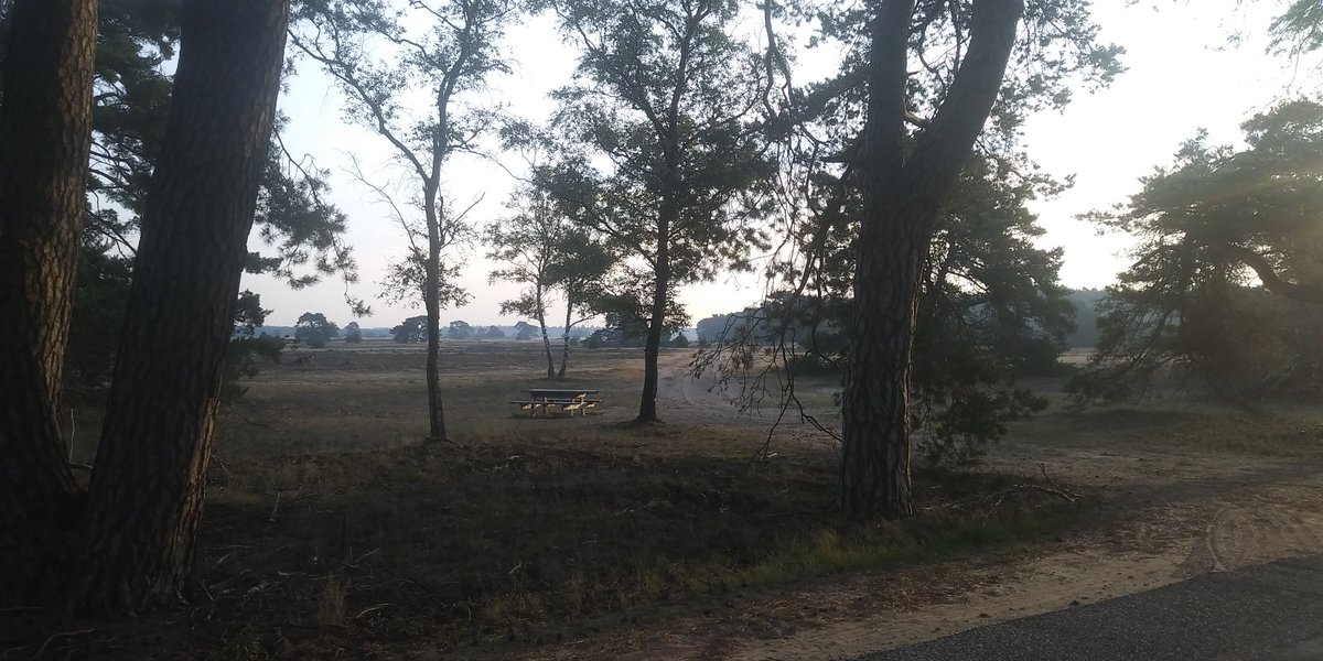 Houtatelier Régine (@houtatelierr) on Twitter photo Dat begint al goed! 2e dag met 8 finalisten Business Pressure Cooker trainingsdag <a href="/IGNITEAward/">Igniteaward</a> op Nationaal Park de Hoge Veluwe. Met vandaag 'Sterk Businessplan' met <a href="/Sennie_B/">senna bouteba</a> en 'Impactstrategie' met <a href="/avanceimpact/">avance-impact</a>. Top! #stoeretafel #IgniteAward #sociaalondernemen #impact Dat begint al goed! 2e dag met 8 finalisten Business Pressure Cooker trainingsdag <a href="/IGNITEAward/">Igniteaward</a> op Nationaal Park de Hoge Veluwe. Met vandaag 'Sterk Businessplan' met <a href="/Sennie_B/">senna bouteba</a> en 'Impactstrategie' met <a href="/avanceimpact/">avance-impact</a>. Top! #stoeretafel #IgniteAward #sociaalondernemen #impact