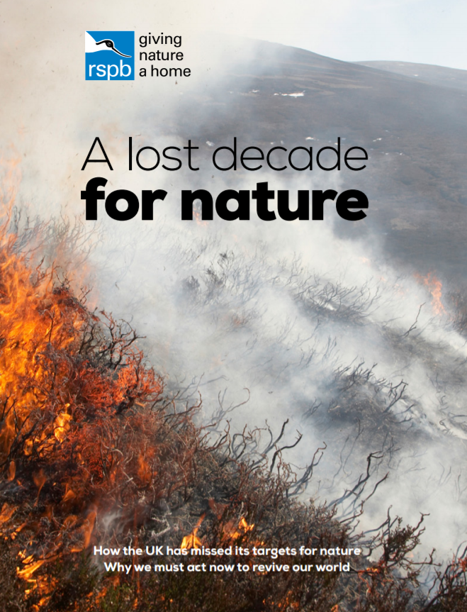 It's been a lost decade for nature.

Read this to find out how we can #ReviveOurWorld 

community.rspb.org.uk/ourwork/b/mart…

#voicefortheplanet 
#1planet1right